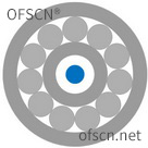 Structure of OFSCN® Capillary Seamless Steel Tube FBG sensor