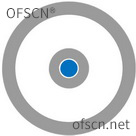 Structure of OFSCN® Capillary Seamless Steel Tube FBG sensor