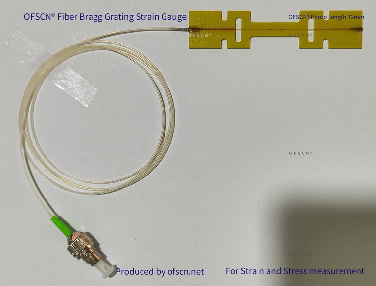 OFSCN Strain Gauge 02
