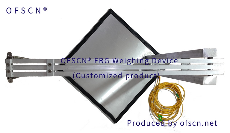 Physical Photo of Customized Fiber Optic Grating Weighing System