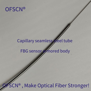 Main Structure of OFSCN® 100°C Capillary Seamless Steel Tube FBG Temperature Sensor  ( 01 Type, Single-ended)