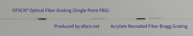 Physical diagram of single-point fiber Bragg grating(FBG) at room temperature