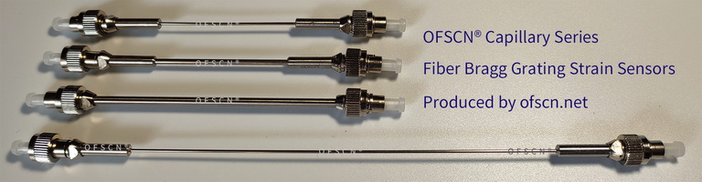Physical Diagram of OFSCN® Capillary Seamless Steel Tube Double-ended FBG Strain Sensor/FBG Strain Gauge