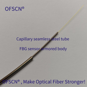 Main Structure of OFSCN® 500°C Capillary Seamless Steel Tube FBG Sensor ( 02S Type, single-ended )