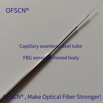 Main Structure of OFSCN® 500°C Capillary Seamless Steel Tube FBG Sensor ( 02S Type, single-ended )