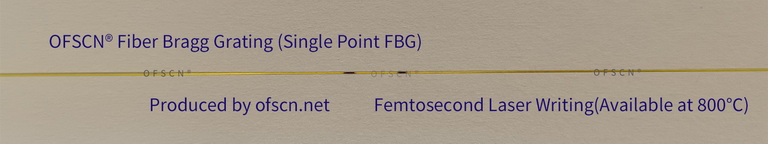 Structure Diagram of FBG for OFSCN® 800°C Capillary Seamless Steel Tube  FBG Temperature Sensor(02H type, single-ended)