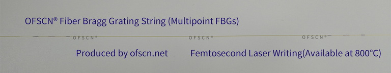 Structure Diagram of FBG String/Array for OFSCN® 800°C Capillary Seamless Steel Tube  FBG Temperature Sensor(02H type, single-ended)