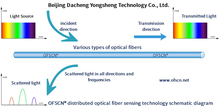 Schematic diagram of distributed optical fiber sensing principle